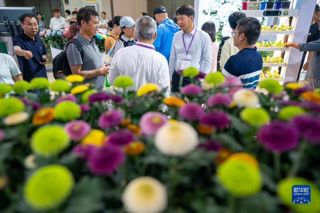 捕鱼在线上下分